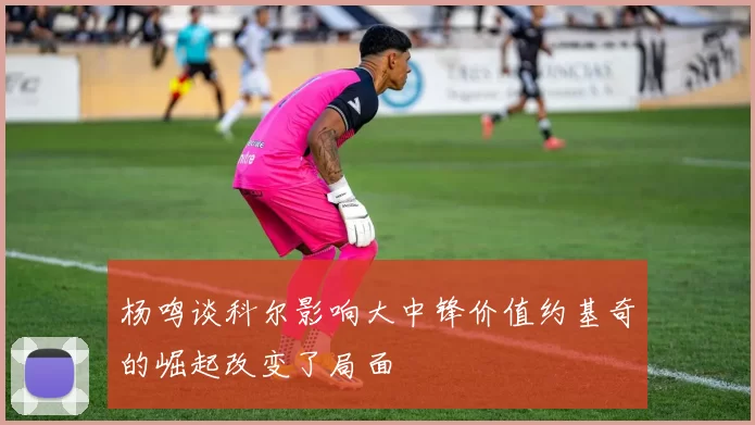 杨鸣谈科尔影响大中锋价值约基奇的崛起改变了局面